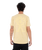 The Hurley Mens Dancer T-Shirt in Hazelnut