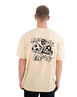 The Hurley Mens Trip T-Shirt in Plains