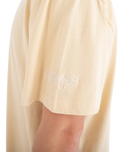 The Hurley Mens Trip T-Shirt in Plains