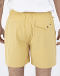 The Hurley Mens Phantom Naturals Baja Walkshorts in Dusty Cheddar