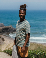 The Passenger Mens Retro T-Shirt in Deep Ocean Multi Stripe