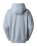 The The North Face Womens Essential Hoodie in Frost Grey