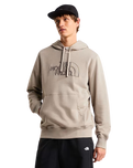 Drew Peak Light Hoodie in Stone Slab & New Taupe Green