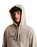 Drew Peak Light Hoodie in Stone Slab & New Taupe Green