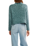Opal Jumper in Rainforest