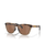 The Oakley Frogskins Range Polarized Sunglasses in Prizm Tungsten, Brown Tortoise & Brown Smoke
