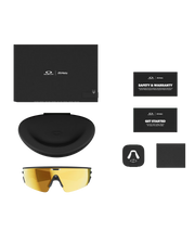 Meta Vanguard Sunglasses in Black & Prizm 24K