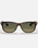 The Ray-Ban New Wayfarer Classic Sunglasses in Brown