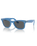 The Ray-Ban Original Wayfarer Change Sunglasses in Photo Striped Blue