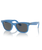 The Ray-Ban Original Wayfarer Change Sunglasses in Photo Striped Blue