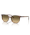 The Ray-Ban Elliot Sunglasses in Polished Striped Brown & Green