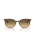 The Ray-Ban Elliot Sunglasses in Polished Striped Brown & Green