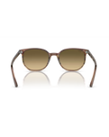 The Ray-Ban Elliot Sunglasses in Polished Striped Brown & Green