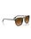 The Ray-Ban RB2203 Sunglasses in Polished Havana Yellow Tortoiseshell
