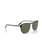 The Ray-Ban RB2203 Sunglasses in Black On Transparent