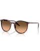 The Ray-Ban RB2204 Sunglasses in Polished Havana Red Tortoiseshell