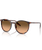 The Ray-Ban RB2204 Sunglasses in Polished Havana Red Tortoiseshell