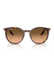 The Ray-Ban RB2204 Sunglasses in Polished Havana Red Tortoiseshell