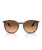 The Ray-Ban RB2204 Sunglasses in Polished Havana Red Tortoiseshell