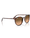 The Ray-Ban RB2204 Sunglasses in Polished Havana Red Tortoiseshell