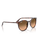 The Ray-Ban RB2204 Sunglasses in Polished Havana Red Tortoiseshell
