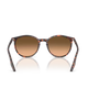 The Ray-Ban RB2204 Sunglasses in Polished Havana Red Tortoiseshell