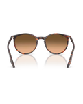 The Ray-Ban RB2204 Sunglasses in Polished Havana Red Tortoiseshell