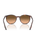 The Ray-Ban RB2204 Sunglasses in Polished Havana Red Tortoiseshell