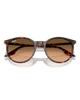The Ray-Ban RB2204 Sunglasses in Polished Havana Red Tortoiseshell