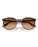 The Ray-Ban RB2204 Sunglasses in Polished Havana Red Tortoiseshell