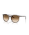 The Ray-Ban RB2204 Sunglasses in Polished Havana Yellow Tortoiseshell