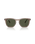 The Ray-Ban RB2210 Sunglasses in Transparent Light Brown & Green