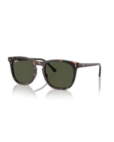 The Ray-Ban RB2210 Sunglasses in Polished Havana & Green