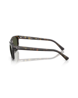 The Ray-Ban RB2226 Sunglasses in Polished Havana & Green