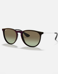 The Ray-Ban Erika Sunglasses in Assorted