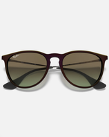 The Ray-Ban Erika Sunglasses in Assorted