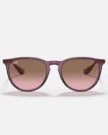 The Ray-Ban Erika Sunglasses in Transparent Violet