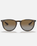 The Ray-Ban Erika Sunglasses in Brown