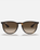 The Ray-Ban Havana Erika Sunglasses in Brown