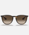 The Ray-Ban Havana Erika Sunglasses in Brown