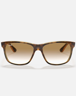 The Ray-Ban RB4181 Sunglasses in Brown