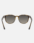 The Ray-Ban RB4259 Sunglasses in Grey
