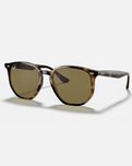 The Ray-Ban RB4306 Sunglasses in Brown