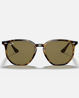 The Ray-Ban RB4306 Sunglasses in Brown