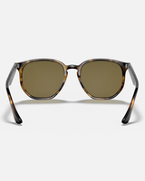 The Ray-Ban RB4306 Sunglasses in Brown