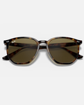 The Ray-Ban RB4306 Sunglasses in Brown