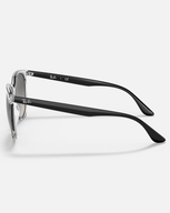 The Ray-Ban RB4378 Sunglasses in Transparent