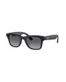 Meta Wayfarer Sunglasses in Matte Black & Graphite