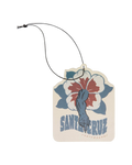 The Santa Cruz Roskopp Voodoo Room Arm Air Freshener in Ocean