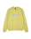 The Santa Cruz Mens Patch Strip Sweatshirt in Faded Khaki